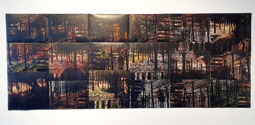 Exploring Solastalgia Aiseling Noone MA by Research