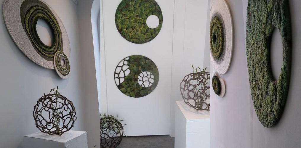 microGALLERY Project 3 // (Re)Connected by Ann Mechenlinck