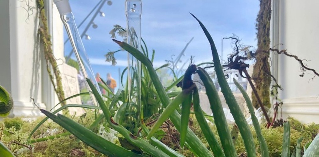 microGALLERY Project 1 // RE-ENGAGE BY PAULINE GIBBONS & CATHERINE MURRAY